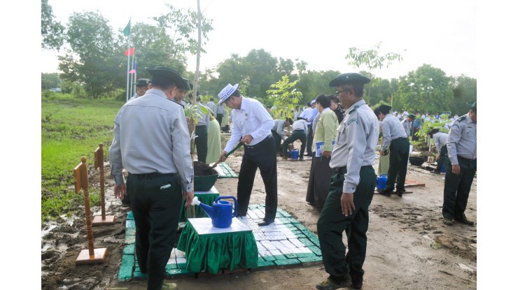 University of Cooperative and Management, Thanlyin held the 4th Monsoon Tree Planting Ceremony, 2024 of Yangon Region Government